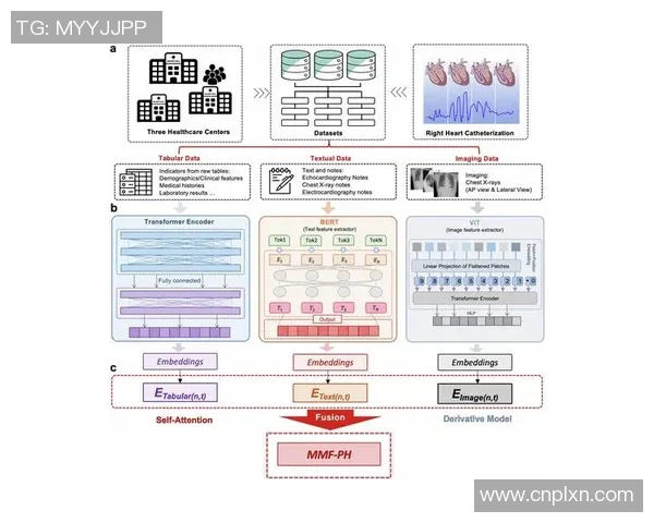 广州滑板队力量表现数据分析揭示运动员潜力与训练效果的深度关系